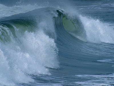 El Poder del Oceano