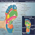 Foot Reflexology and its Benefits