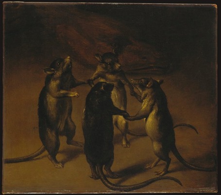 ronda de ratas van kessel