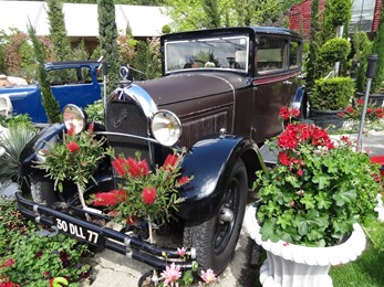 2018.05.01-005 Talbot