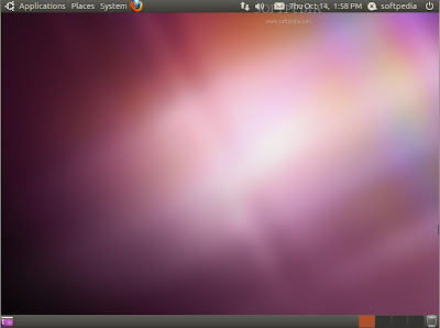 ubuntu 10.10 bojalinuxer