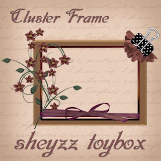 http://sheyzztoybox.blogspot.com/2009/09/new-freebie-cluster-frame.html