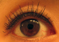 Lash Stash 2013 Review BUXOM Lash Mascara Review