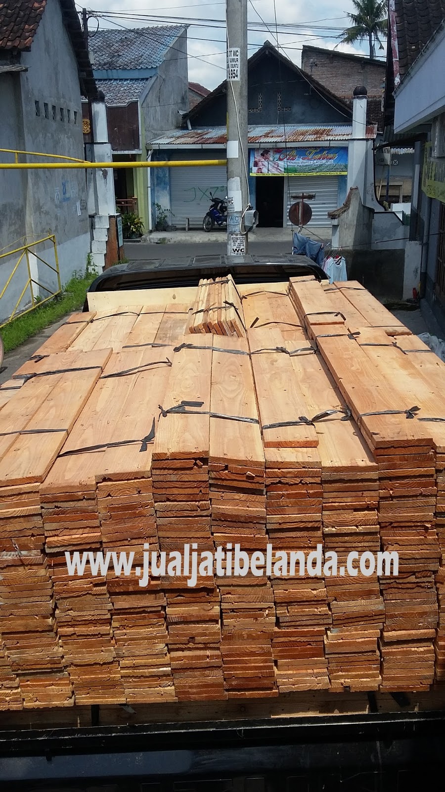  Jual  Kayu  Jati  Belanda  Serat Merah Jual  Jati  Belanda 