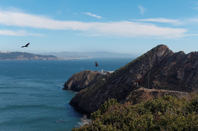 Marin Headlands