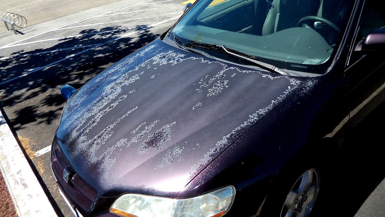 Fading Paint On Car