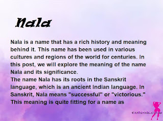 meaning of the name "Nala"