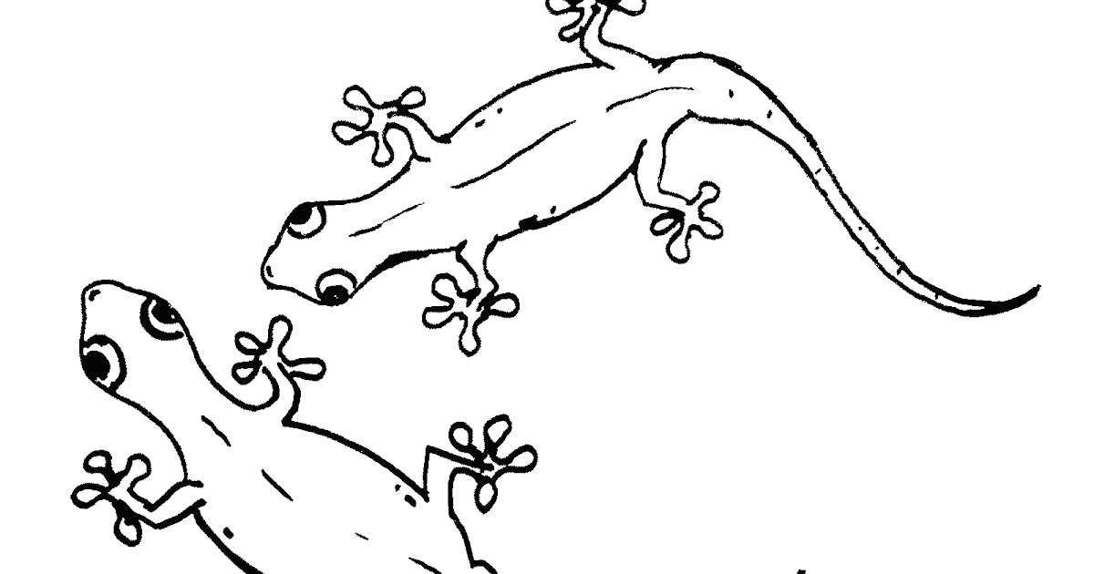 Mewarnai Gambar Cicak - Contoh Gambar Mewarnai