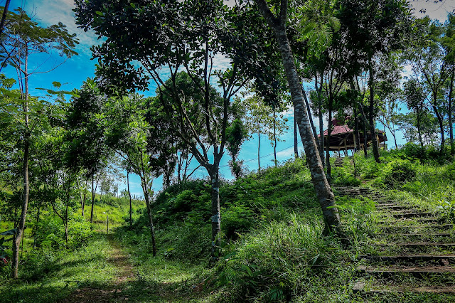 Tempat Wisata Selain Pemandian Air panas di Kawasan Cikundul Kota Sukabumi - Apa saja ?