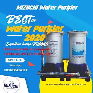 Mizuchi water purifier DC-30