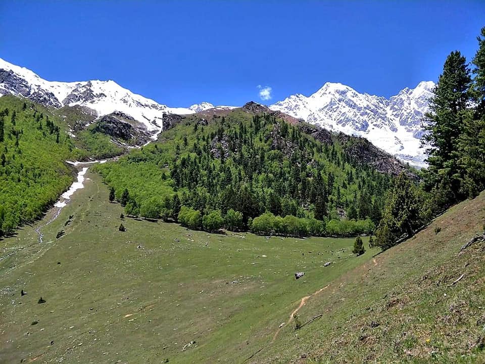 yaks Khaltaro valley. yaks Gilgit Baltistan. tourist Khaltaro valley. meadows in Haramosh valley. Khun Meadows