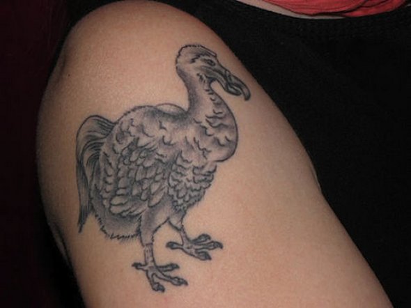 Funniest Tattoos Funniest Tattoos