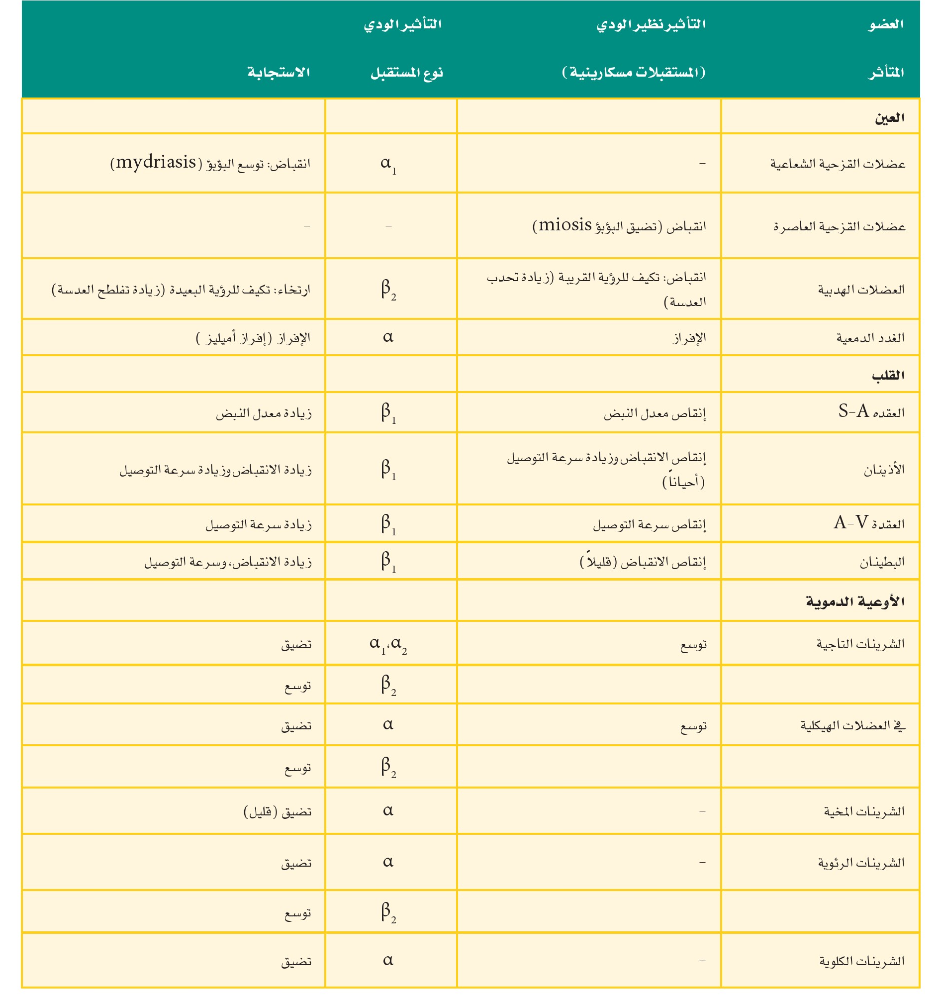 جدول 1 - 4: تأثير نشاط الجملة الودية والجملة نظير الودية على الأعضاء الحشوية