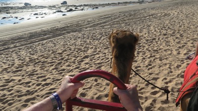 Pat steering