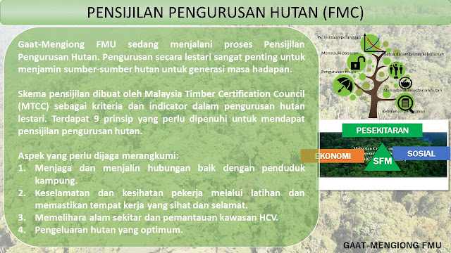 Pensijilan Pengurusan Hutan (FMC) Gaat-Mengiong FMU Homepage