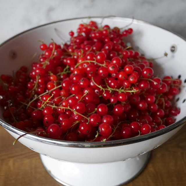 Frisch gepflückte Johannisbeeren aus meinem schönen Garten.