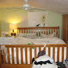 My Bedroom Makeover / My Girl's bedroom makeover. Fun and Easy DIY project ... / As you can see from my last few posts, my bedroom has been in makeover mode and i'm really excited to have a fresh start.