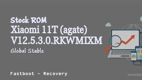 Xiaomi 11T (agate) V12.5.3.0.RKWMIXM Global Stable