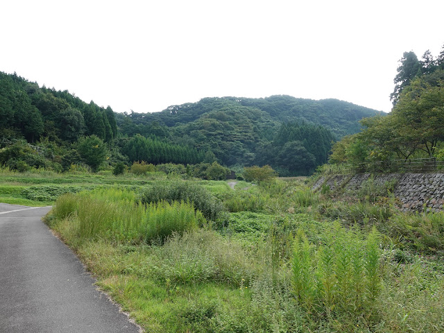 上淀廃寺跡