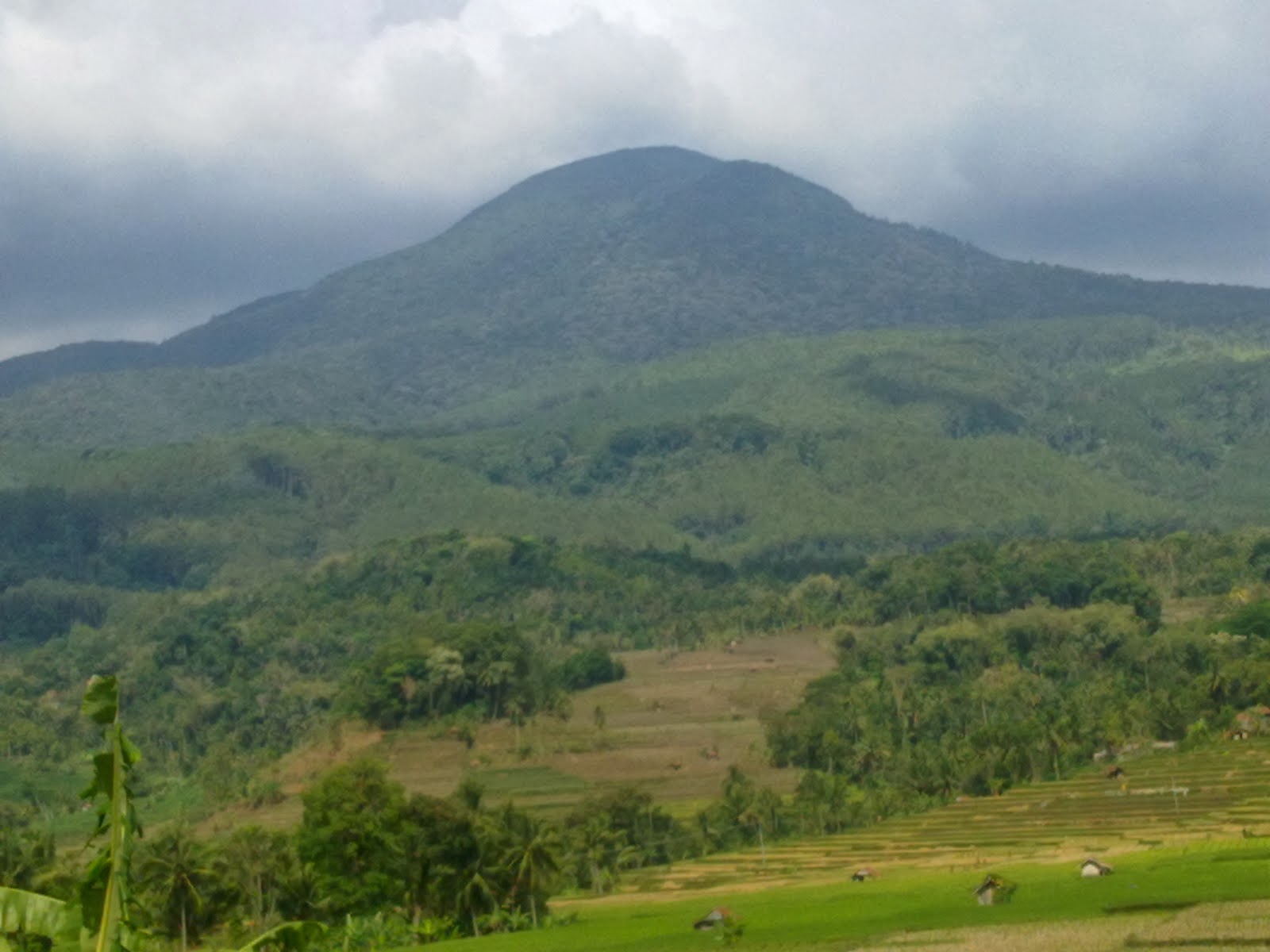 Gading Moore Gunung Tampomas Sumedang Jawa Barat 