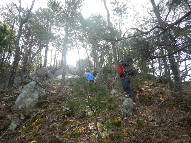 Sendero al Tossal de la Baltasana