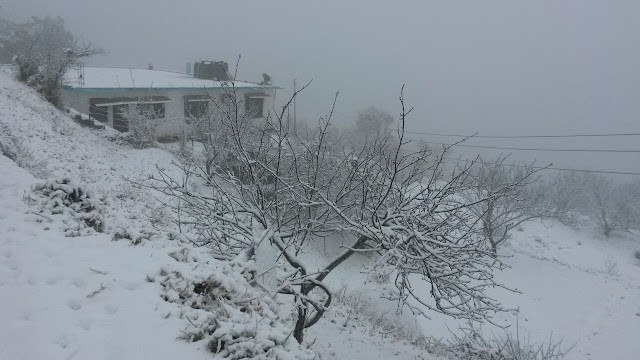 Mukteshwar Snowfall in December