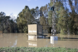 Tranformador inundado