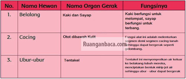 Lengkap Kunci Jawaban Soal Tematik Kelas 5 Tema 1 Halaman 