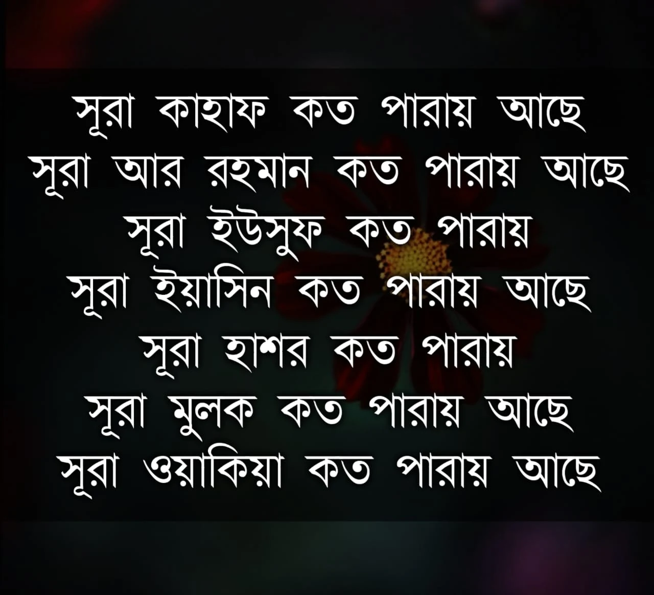 সূরা কাহাফ কত পারায়, সূরা আর রহমান কত পারায়, সূরা ইউসুফ কত পারায়, সূরা ইয়াসিন কত পারায়, সূরা আর রহমান কত পারায় আছে, সূরা হাশর কত পারায়, সুরা ইয়াসিন কত পারায়, ইয়াসিন সূরা কত পারায় আছে, সুরা মুলক কত পারায় আছে, সূরা ওয়াকিয়া কত পারায় আছে।