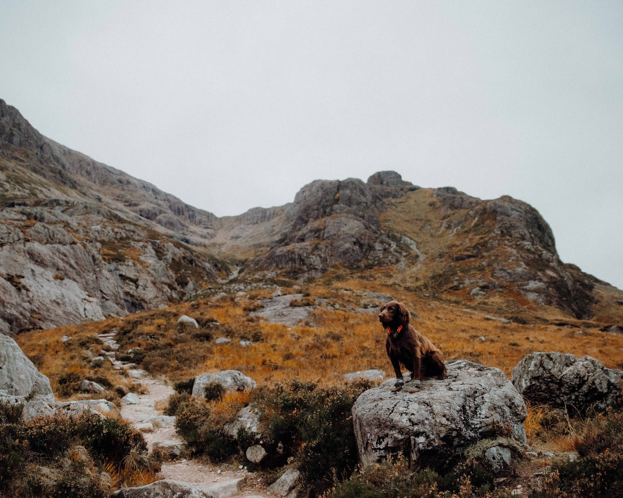 glencoe mountain munro autumn scotland liquid grain