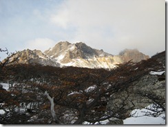 2011_04_16 - Torres del Paine (0263)