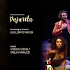 Pajarita, adaptación y Dirección de Guillermo Parodi de 300 millones de Roberto Arlt, por Teresa Gatto
