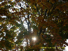 Contrejour