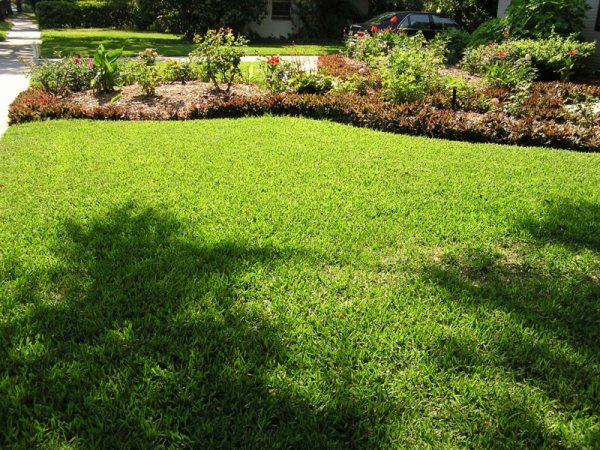 landscaping business THE GARDEN DOCTOR in Tampa was organic lawn care ...