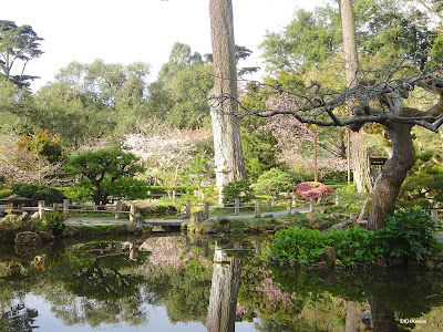 reflections, Japanese Tea Garden, San Francisco