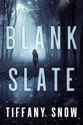 Book Review: Blank Slate, by Tiffany Snow, 5 stars