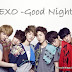 Lirik Lagu EXO - Good Night (Terjemahan)