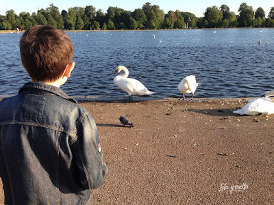 Round Pond, Kensington Gardens.