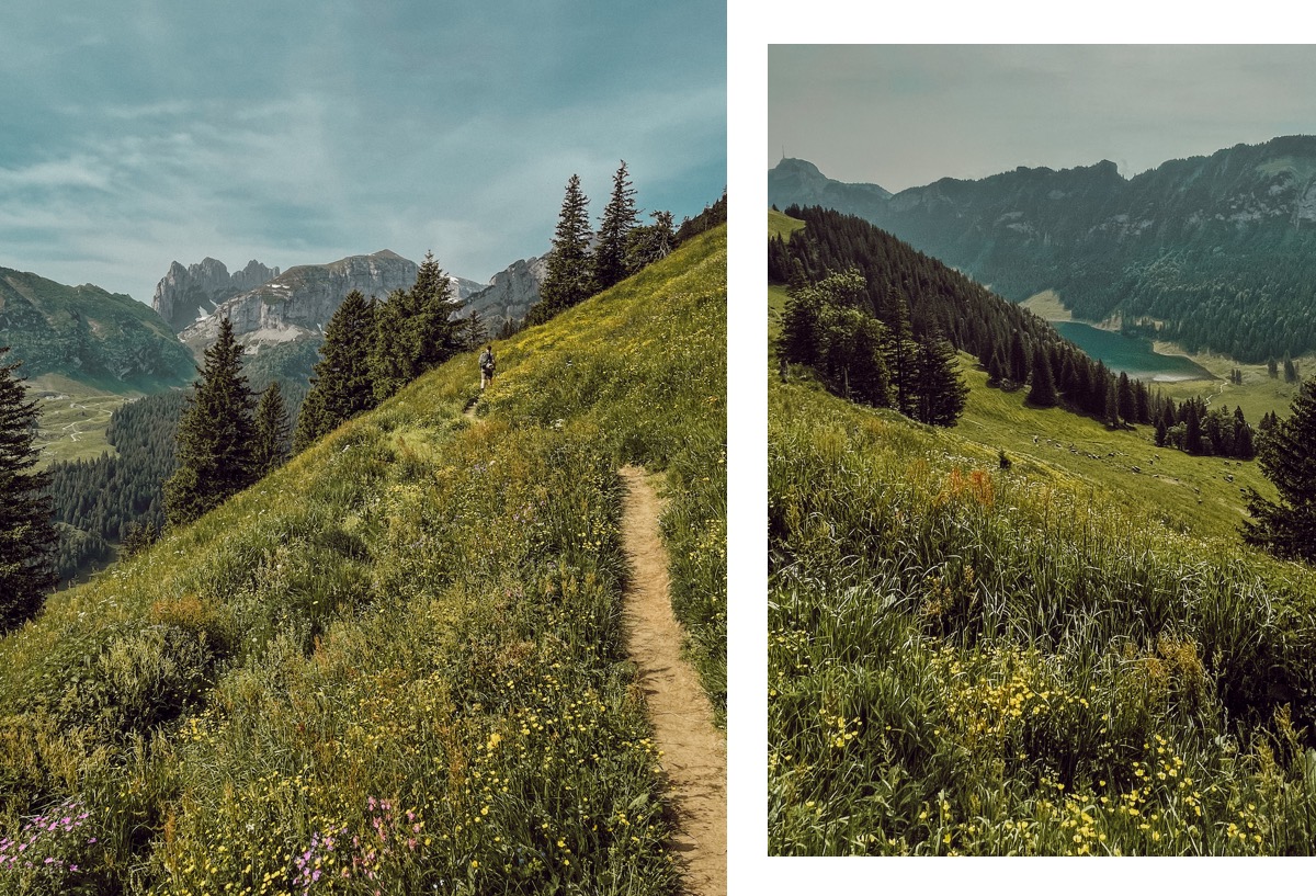 Alpstein Appenzeller Land schönste Wanderung Höhenweg Alp Sigel Bogartenlücke Fälensee Bollenwees Rösti Sämtiser See