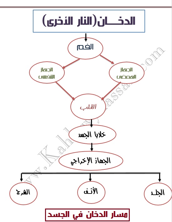 التحليل العلمي للدخان والمدخنين