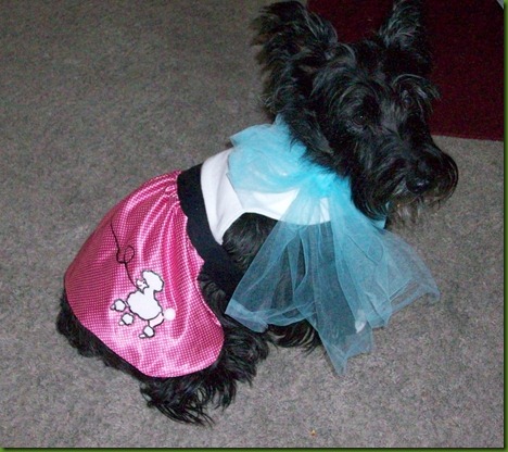 jazzis poodle skirt