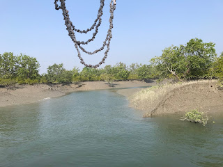 Un canale nelle Sundarban