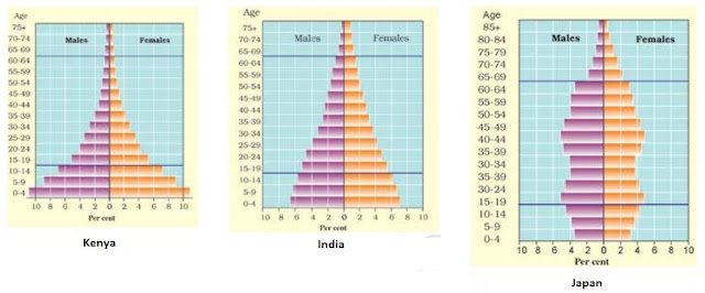 Population Pryamid