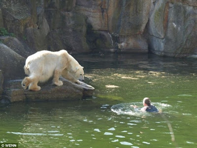 bear tattoo Bear tattoo. Polar Bear Attacks Woman At Berlin Zoo