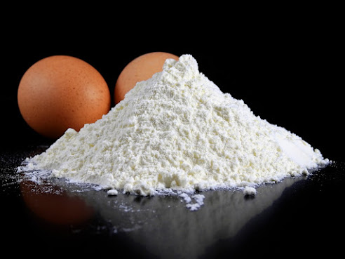 Egg protein powders