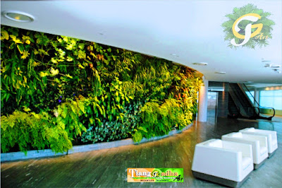 Tukang Taman Surabaya || Desain Taman Surabaya || vertical garden || taman vertical