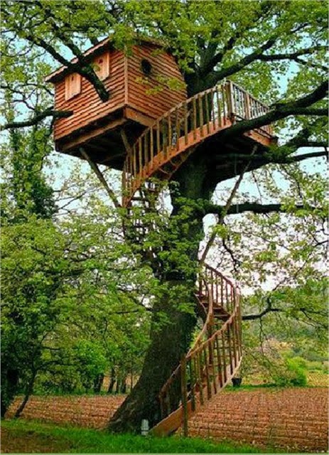 Mindblowing Planet Earth: World's Best Tree House
