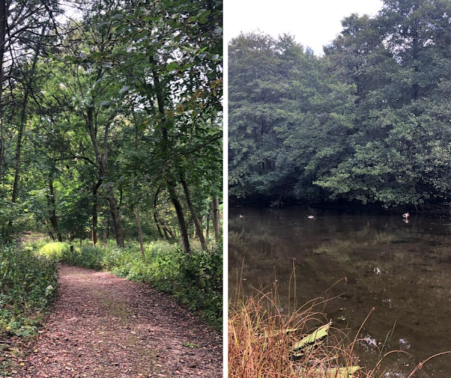 Wandering the Paths of the University of Wisconsin - Madison Arboretum