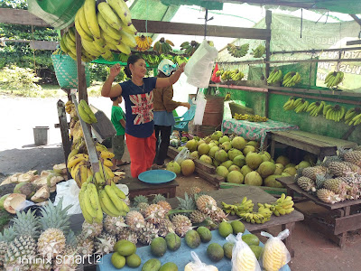 Harga Kelapa Muda, Pisang hingga Nanas di Putussibau Bervariasi