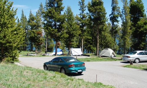 Bridge Bay Campground3